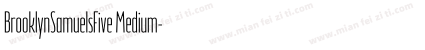 BrooklynSamuelsFive Medium字体转换